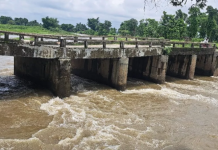 Bihar Bridge Collapse