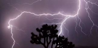 बिहार में बिजली गिरने से 6 लोगों की मौत