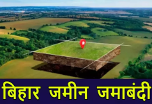 सरकारी भूमि की गलत जमाबंदी का मामला, CO समेत ब्लॉक के कई अफसरों और कर्मचारियों की नौकरी पर मंडराने लगा खतरा सरकारी भूमि की गलत जमाबंदी का मामला
